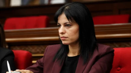 ԱԺ ընդդիմադիր կին պատգամավորները պահանջում են ազատ արձակել Արեգնազ Մանուկյանին