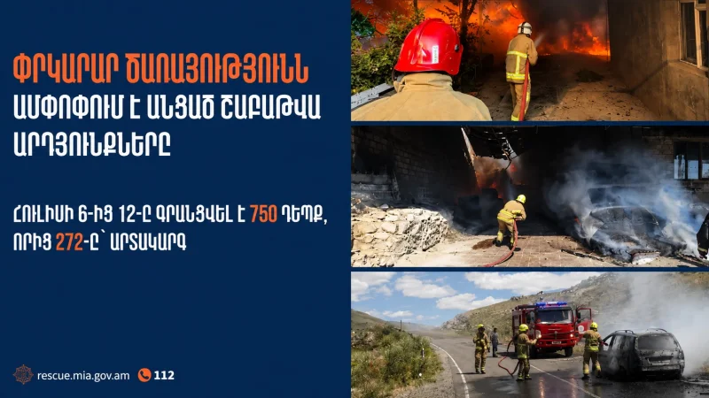 Մեկ շաբաթում Հայաստանում օձի հայտնաբերման 51 դեպք է գրանցվել