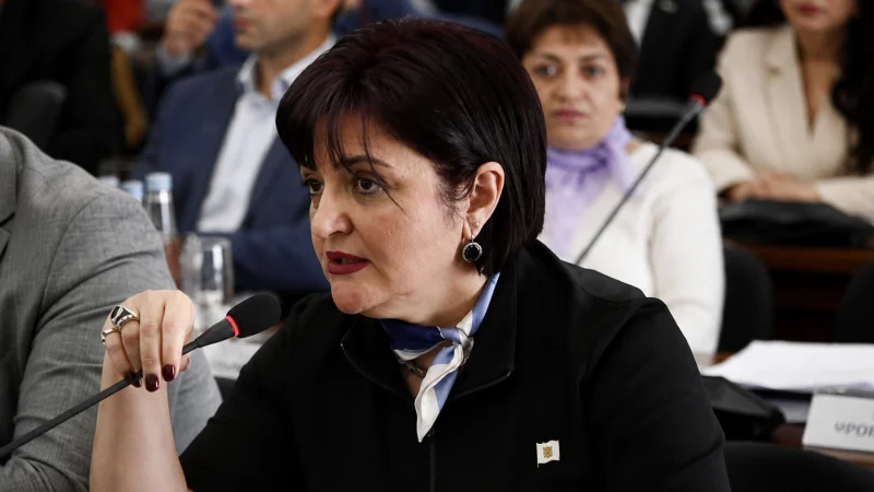 Առյուծի անկումից հետո Քրիստինա Վարդանյանը դուրս է գալիս Երևանի կենդանաբանական այգու կառավարման խորհրդից