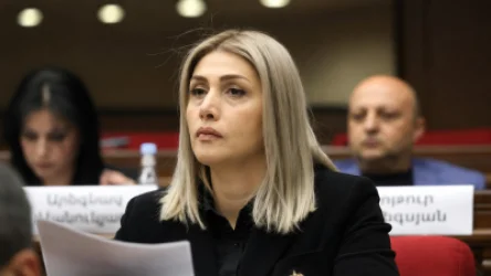Սա պարզապես քրեական հետապնդում չէ, այլ հաշվեհարդար է․ Էլինար Վարդանյան
