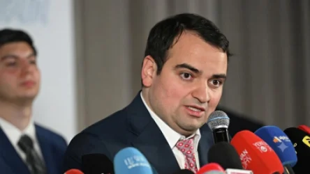 Նարեկ Կարապետյանի անձեռնմխելիության հարցի քննարկումը հետաձգվել է