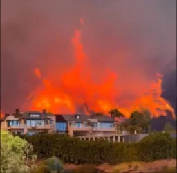 Անտառային հրդեհները տարածվել են Լոս Անջելեսի հոլիվուդյան աստղերի թաղամասերում