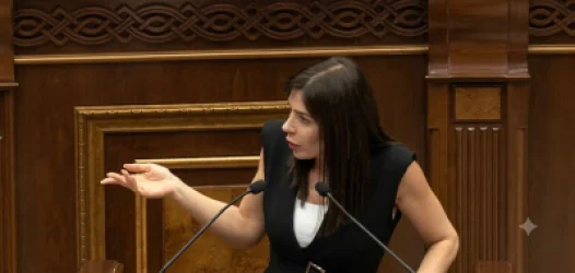 Դուք գողացել եք 60 հազար քաղաքացու քվեն. Ագնեսա Խամոյանը՝ ՔՊ-ին