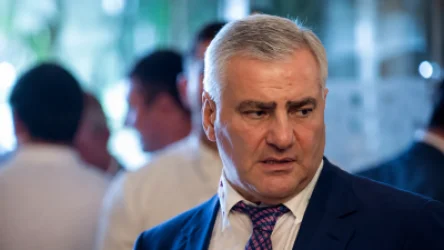 Կարապետյանը՝ Ծառուկյանի ընկերություններում կատարվող գործընթացների մասին