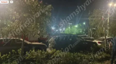 На улице Алэка Манукяна巨树, которая засохла, упала на автомобиль