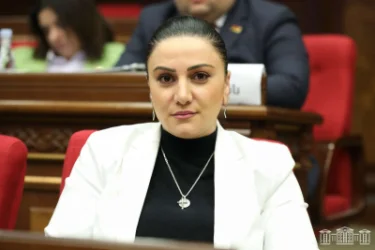 VIDEO: The Civil Contract Party Has Not Yet Discussed Vardevanyan's Candidacy, Manavazyan Says