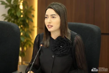 Citizenship Cannot Be a 'Quick Service for Investment', Says Arpine Sargsyan on 'Golden Passport' Scheme