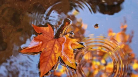 Եղանակը՝ Հայատանում