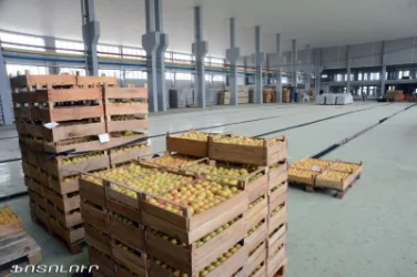 Armenia's Foreign Trade is Changing: Trade with Russia Decreased, Exports to EU Increased Due to Raw Materials