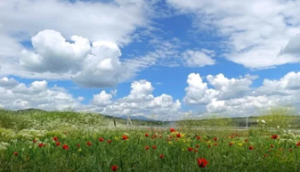 Weather Change Expected from August 9: Heavy Rain, Hail, and Winds up to 25 m/s