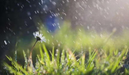 Heavy Rain and Hail Expected on August 10-11; Temperature to Decrease