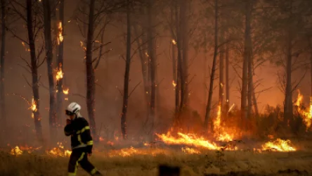 420 Arrested for Forest Fires in France, 166 are Minors