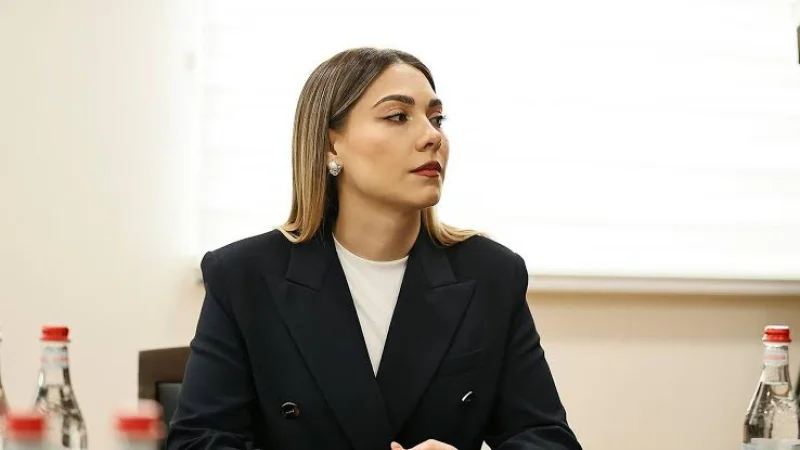 Սրբուհի Գալյանը նշանակվել է ԱԺ-ում կառավարության ներկայացուցիչ