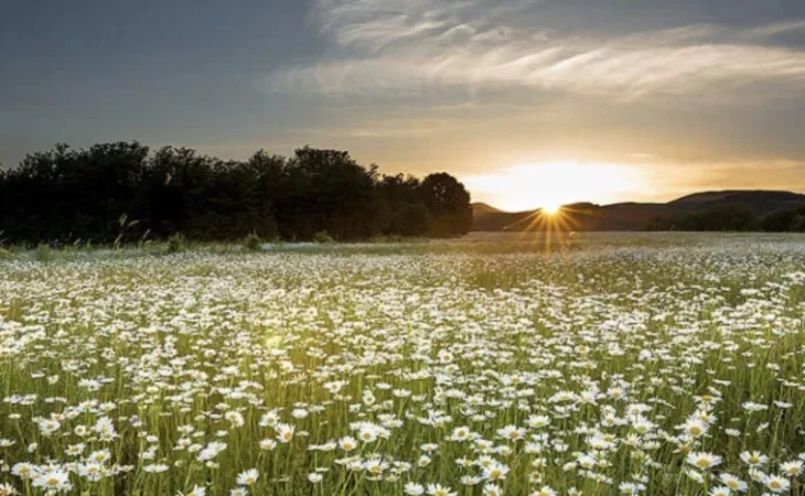 Heat Retreats: What Weather to Expect Today
