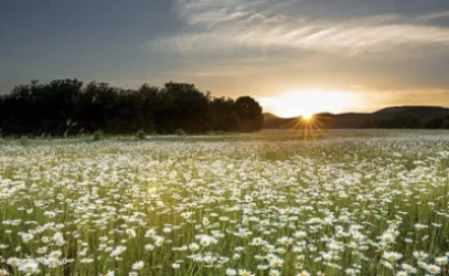 Heat Retreats: What Weather to Expect Today