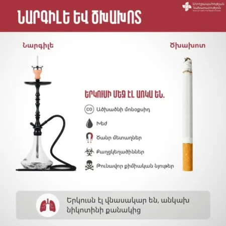 Առանց ծխախոտի նարգիլեն չի կարելի համարել առողջության համար անվտանգ այլընտրանք. ԱՆ