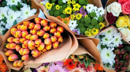 Armenian Apricot in 21 Markets, Flowers in 26: New Export Data for July 2026