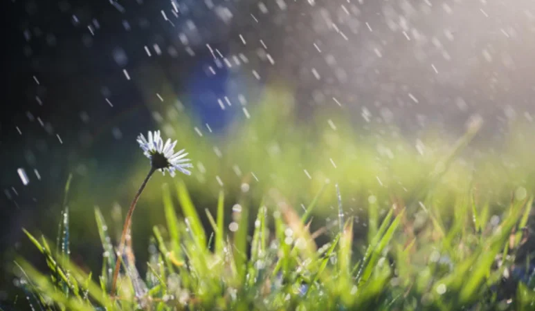 Rain, Thunderstorms, and Hail: What Weather to Expect in the Coming Days