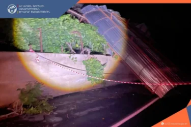 Strong Winds Cause Damage in Yerevan and Regions: Trees Down, Roofs and Vehicles Damaged