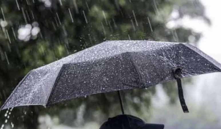 Expect Rain, Thunderstorms, and Strong Winds; Hail Possible