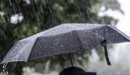 Expect Rain, Thunderstorms, and Strong Winds; Hail Possible