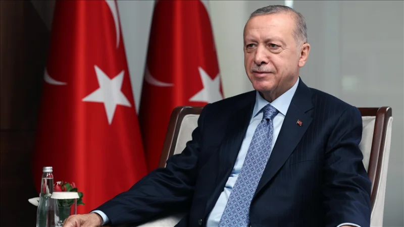 Erdogan on Turkey's Foreign Policy and Regional Developments
