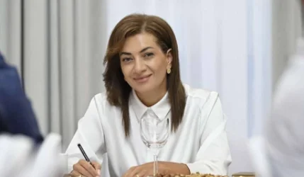 Анна Хачатрян приглашает на встречу глав «Уже сильный Армения» и «Армения»