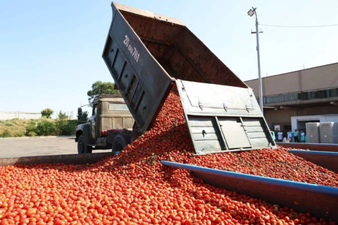 We Will Not Face Issues with Tomato Procurement This Year, Gevorg Papoyan