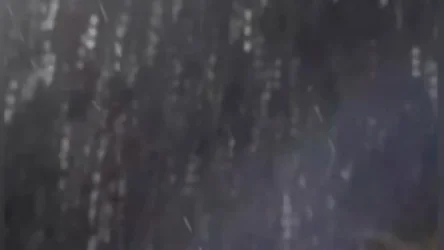 ՏԵՍԱՆՅՈՒԹ. Առաջին ձյունը՝ Երևանում