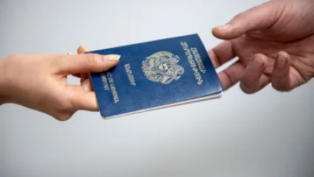 Procedures for Granting and Revoking Citizenship to Be Reviewed