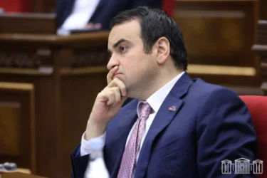«Strong Armenia» to Appeal to the Constitutional Court: Narek Karapetyan