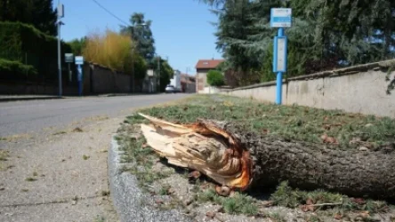Ֆրանսիայի հարավում տորնադոն ավերածություններ է առաջացրել․ տուժել է 40 մարդ