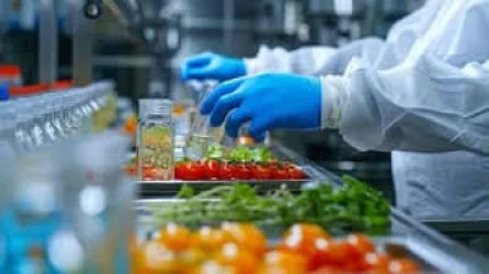 Հայաստան-Ռուսաստան քննարկումներ՝ ԵԱՏՄ պարենային պահանջների շուրջ