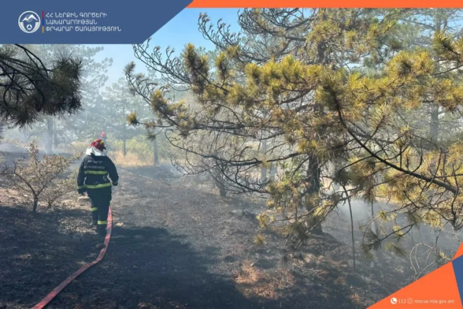 Пожар в лесопарке «Джрвеж» – МВД
