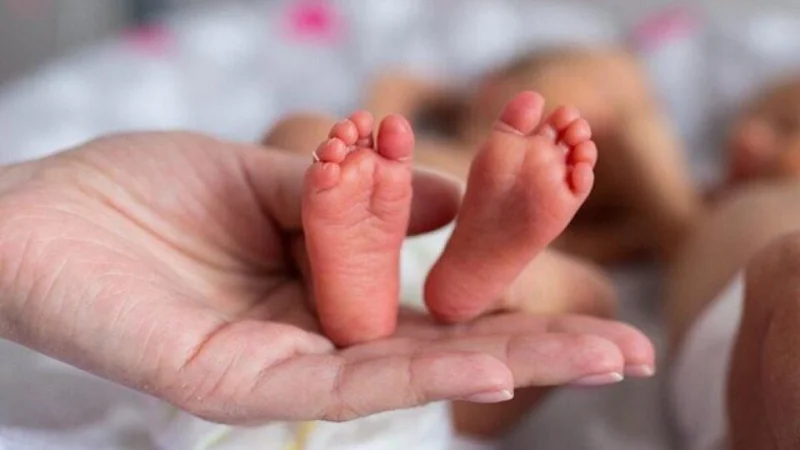New Opportunity for Parents of Newborns: Ministry of Health Provides Details