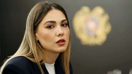 Քրեակատարողական հիմնարկներում արդեն տեղադրվել է 231 տեսախցիկ. Սրբուհի Գալյան