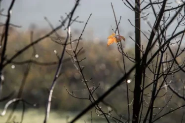 Ինչ եղանակ է սպասվում առաջիկա օրերին