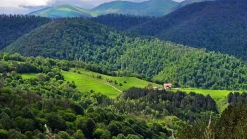 Շրջակա միջավայրի նախարար Ռոմանոս Պետրոսյանը հորդորում է քաղաքացիներին չաղտոտել բնությունն ու չվնասել շրջակա միջավայրի կենսաբազմազանությունը