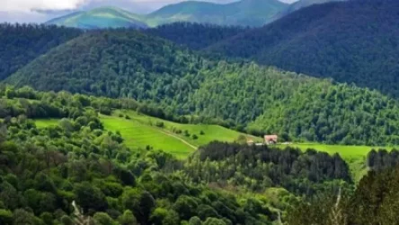 Շրջակա միջավայրի նախարար Ռոմանոս Պետրոսյանը հորդորում է քաղաքացիներին չաղտոտել բնությունն ու չվնասել շրջակա միջավայրի կենսաբազմազանությունը