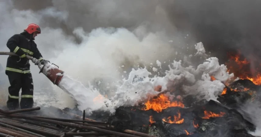 Ինչ վնասներ է կրել «Դիլիջան» ազգային պարկը օրեր շարունակ չմարվող հրդեհից հետո