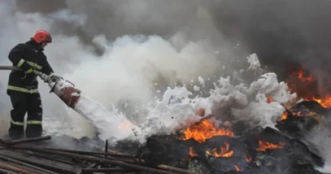 Ինչ վնասներ է կրել «Դիլիջան» ազգային պարկը օրեր շարունակ չմարվող հրդեհից հետո