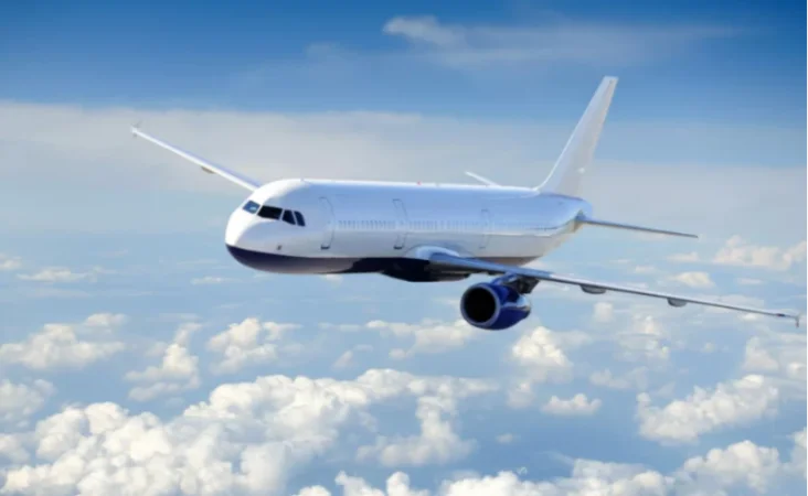 Սանկտ Պետերբուրգ մեկնող ինքնաթիռը հարկադիր վայրէջք է կատարել