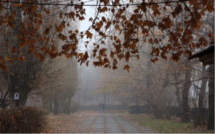 Տեղումներ ու մառախուղ. ինչ են կանխատեսում օդերևութաբաններն առաջիկա օրերի համար