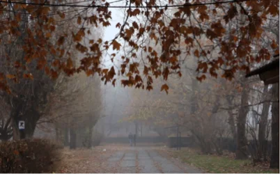 Տեղումներ ու մառախուղ. ինչ են կանխատեսում օդերևութաբաններն առաջիկա օրերի համար