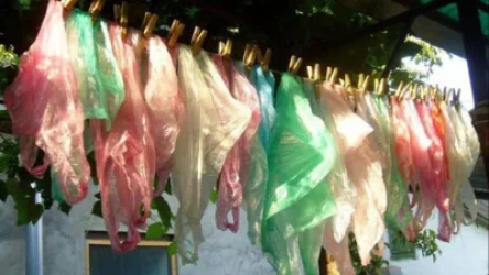 Կազանի քաղաքապետը կոչ է արել լվանալ տոպրակները