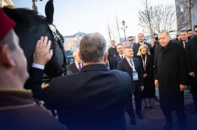 ԼՈՒՍԱՆԿԱՐՆԵՐ․ «Արիստոկրատ» ձի և էլեկտրամոբիլ․ Էրդողանի և Օրբանի նվերներն իրար