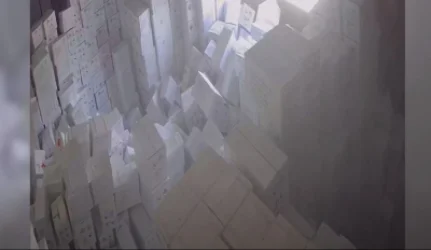 ՏԵՍԱՆՅՈՒԹ․ Ավելի քան 33 տոննա թունաքիմիկատներ են իրացվել առանց թույլտվության․ դրանք եղել են մաքսային հսկողության ներքո