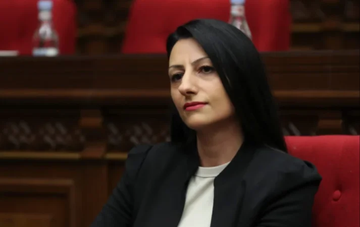 Ի՞նչու են բերետավորները մտել գյուղ և միանգամից ձերբակալել գյուղացիներին․ հարց՝ Մանասյանին