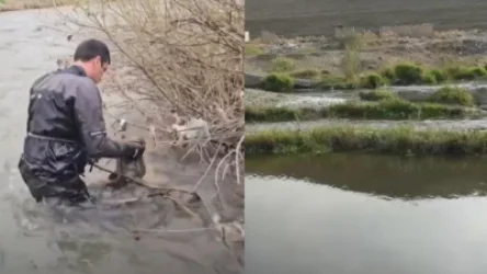 Հավանականությունը մեծ է, որ 2-ամյա երեխային գողացել են. երեխայի հայր