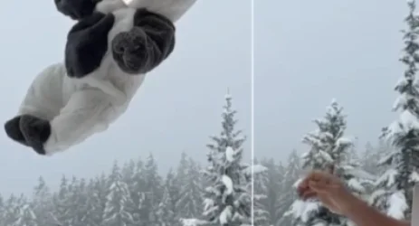 ՏԵՍԱՆՅՈՒԹ. Նորածին երեխային ձյան մեջ նետած բլոգերը խոսել է իր արարքի մասին